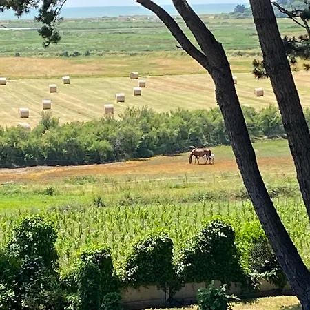 Feriehus Vieilles Vignes Vue *
